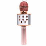 _vyrp13_971ws-858-karaoke-mikrofon-2