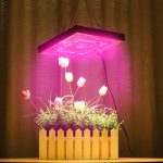 225 LED-es növény nevelő lámpa3