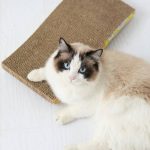 2in1 macskaágy és kaparó kartonból ajándék macskamentával (BB5671) (5)