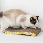 2in1 macskaágy és kaparó kartonból ajándék macskamentával (BB5671) (6)