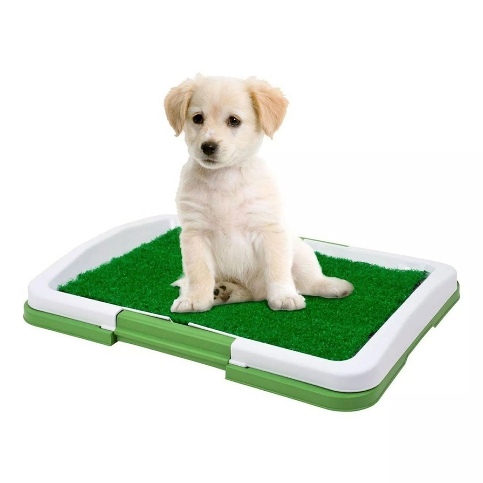 Beltéri kutya WC – hordozható, szagelnyelős, kölyökkutyák szobatisztaságra szoktatáshoz (GL- 60016) (1)
