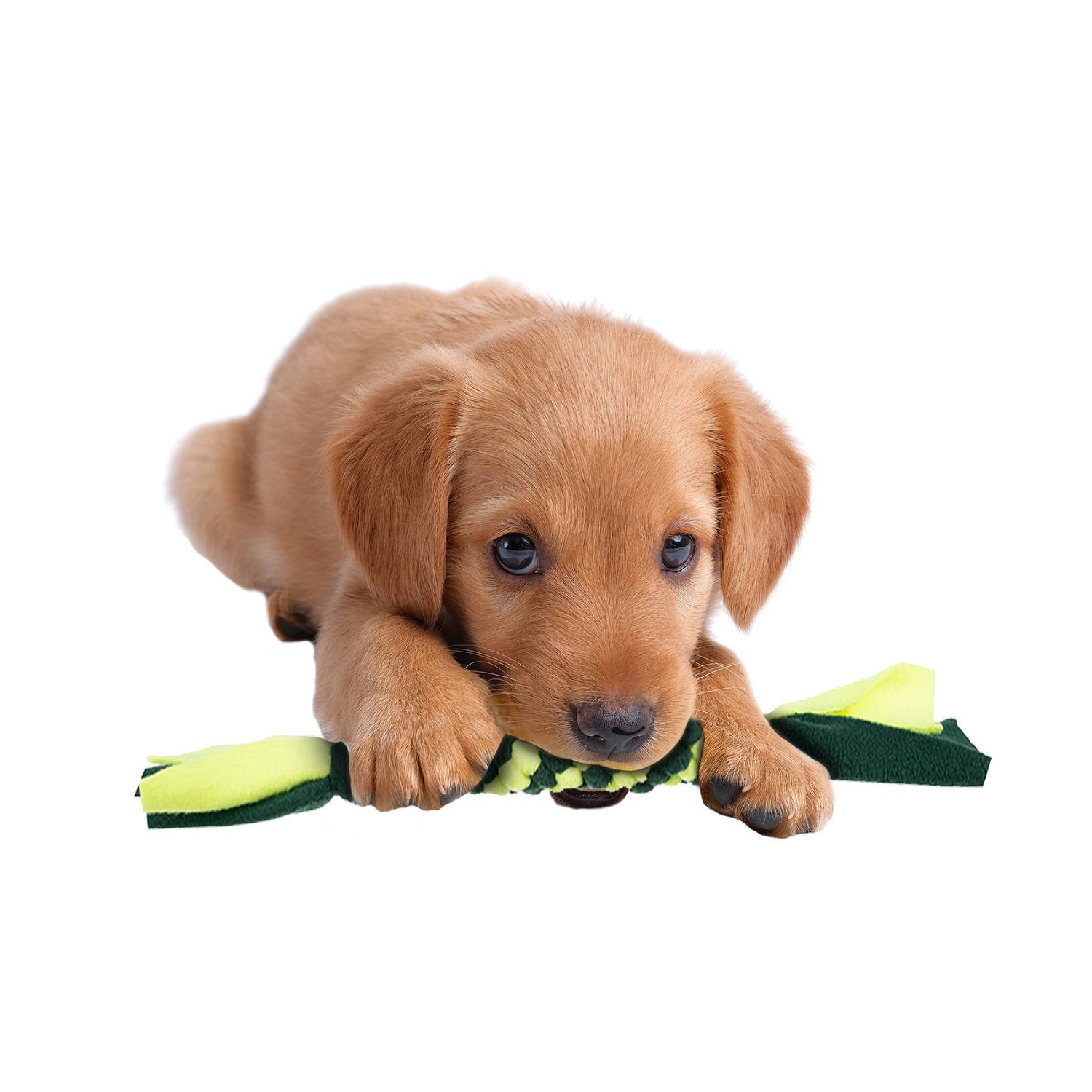 Szaglást fejlesztő kutya játék, szimatszőnyeg – serkenti a koncentráció képességét – 45 x 45 x 5 cm (BB-15245) (7)